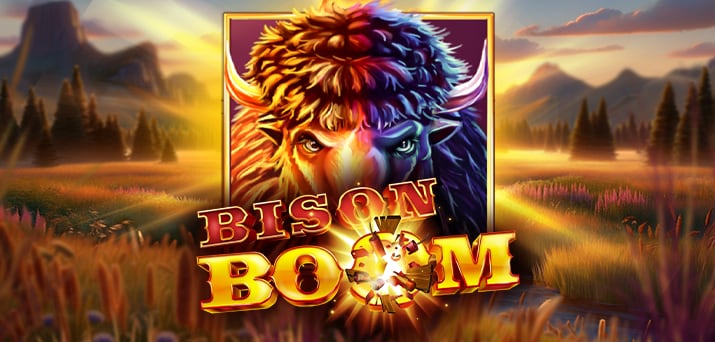 Bison Boom